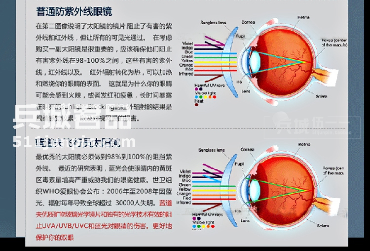 正品美国 RANDOLPH蓝道夫协和机雷朋款 高档镀膜PC眼镜 太阳镜