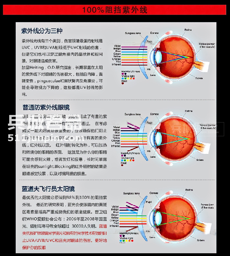 Randolph兰道夫/蓝道夫/新款太阳眼镜黑架弯臂PC镜12434偏光镜